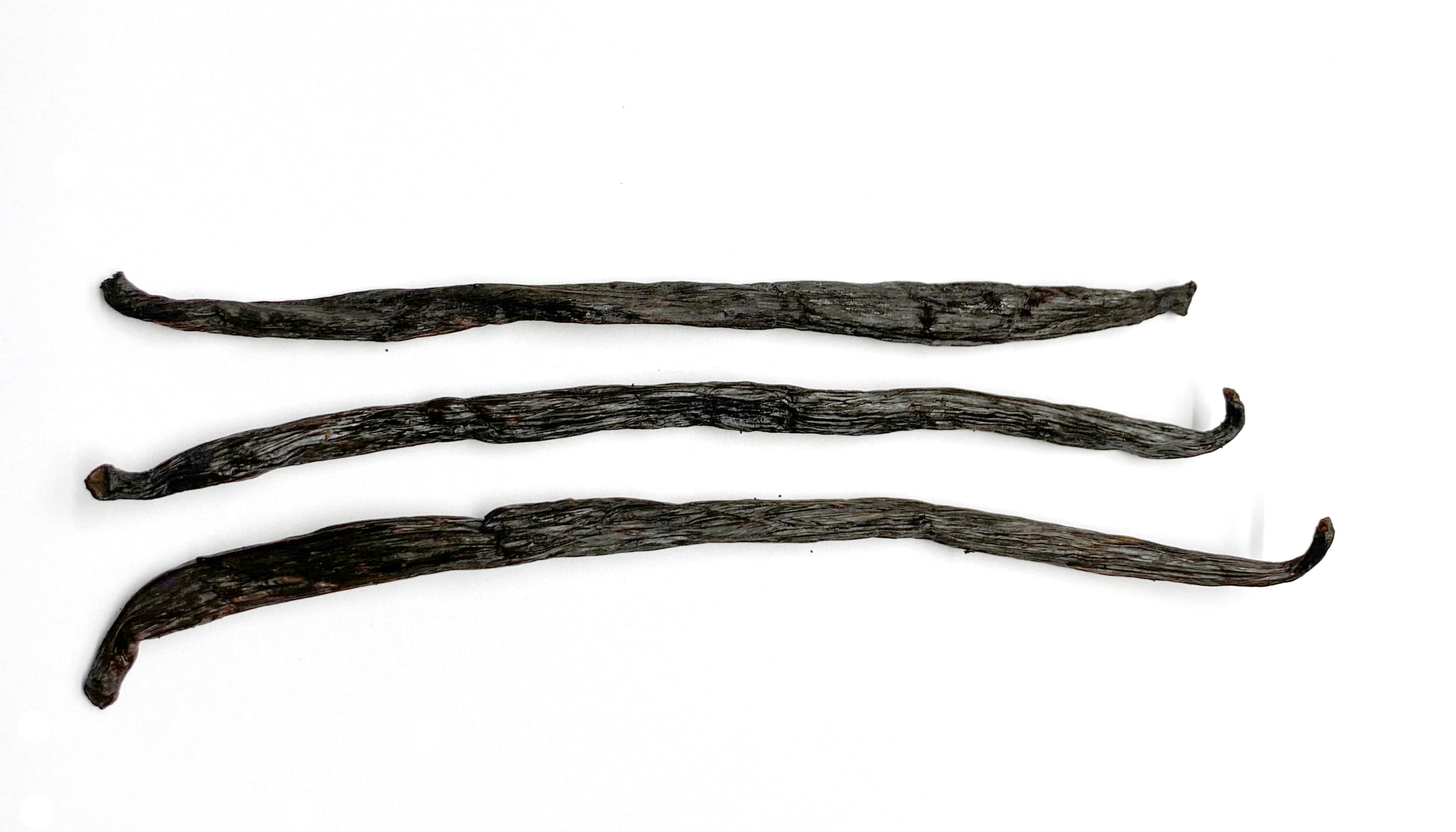 Fairtrade Bio Alor Vanilleschoten 13/17